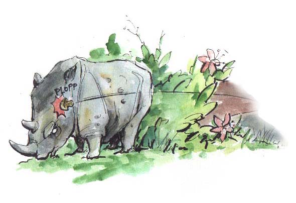 Nashorn-Comic